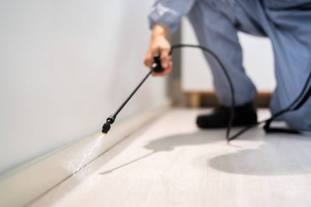 Licensed Pest Control service in Ferndale, CA - Show Me Pest Control