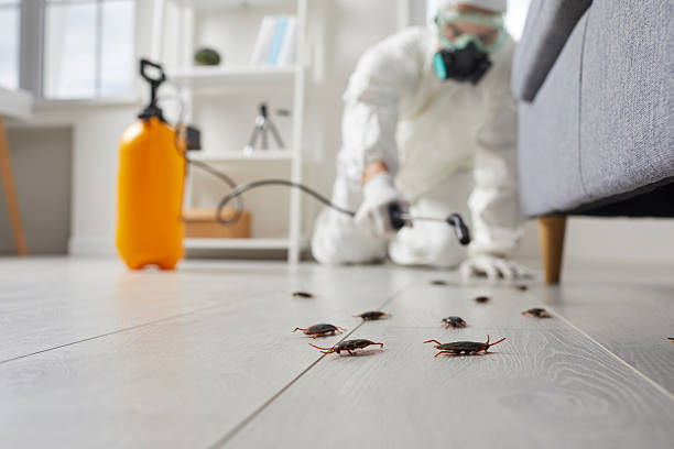 Commercial Kitchen Cockroach Control in Ferndale